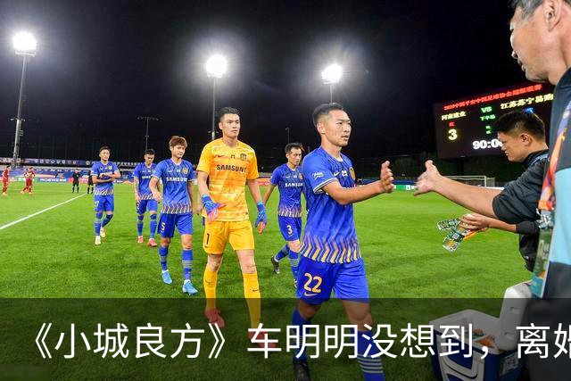 《小城良方》车明明没想到，离婚远走，却促成陈俊南平步青云