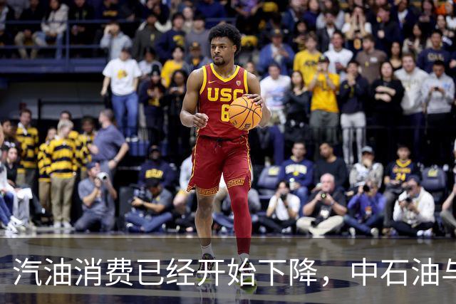 汽油消费已经开始下降，中石油与中石化为何还要大举扩建加油站？