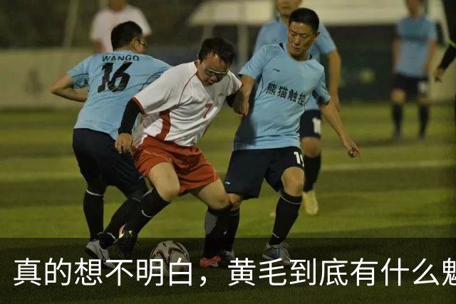 真的想不明白，黄毛到底有什么魅力？