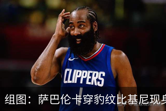 组图：萨巴伦卡穿豹纹比基尼现身海边 展示曼妙曲线