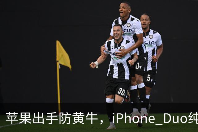 苹果出手防黄牛，iPhone Duo纯eSIM 劝退主力机用户