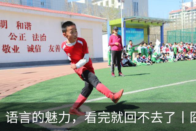 语言的魅力，看完就回不去了丨囧图集