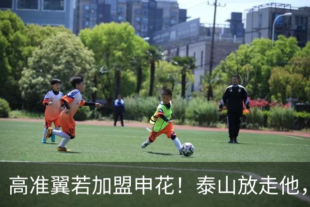 高准翼若加盟申花！泰山放走他，反而有三大好处